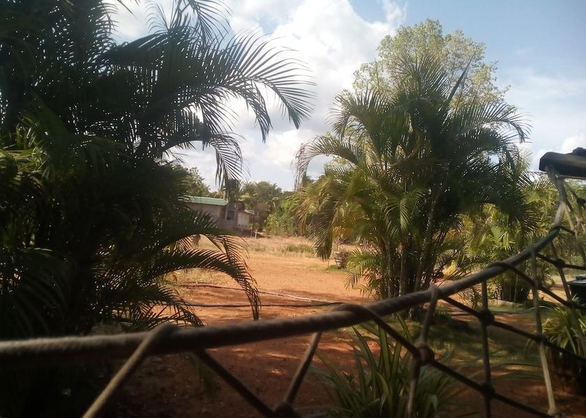 Central Province Sigiriya Primary image
