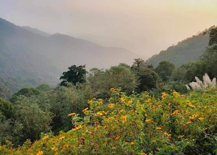 Vinh Phuc Tam Dao Garden