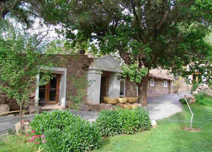 Jujuy Province Tilcara Garden