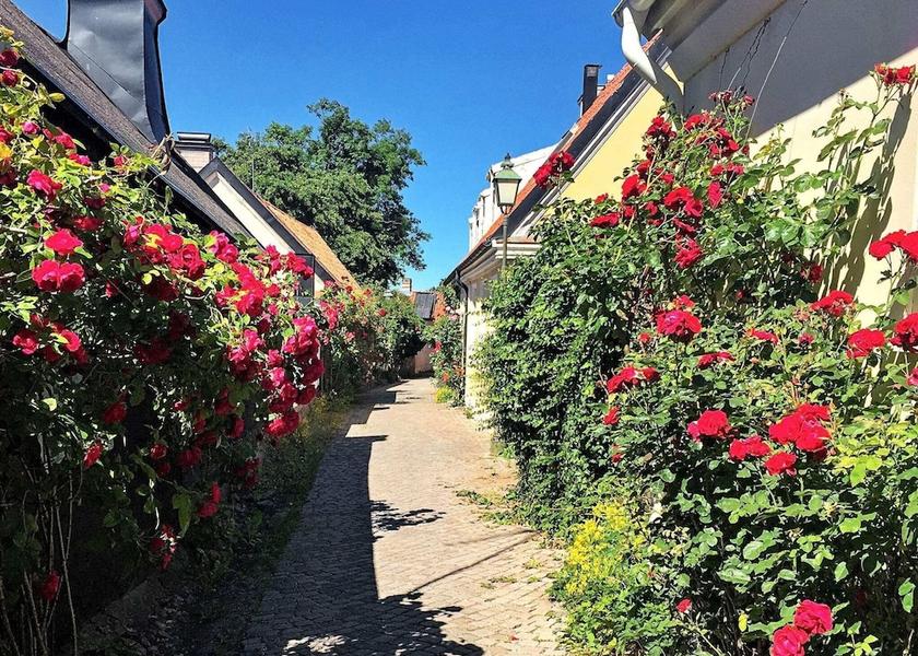 Gotland County Visby Exterior Detail