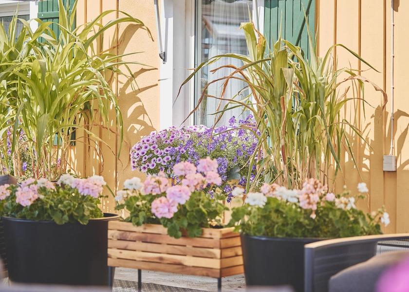 Kalmar County Vimmerby Terrace