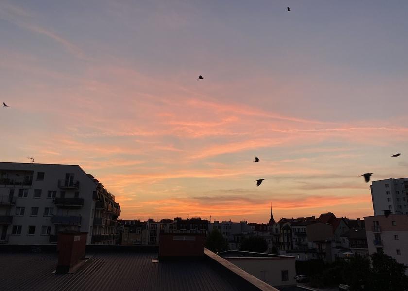 West Pomeranian Voivodeship Swinoujscie View from Property