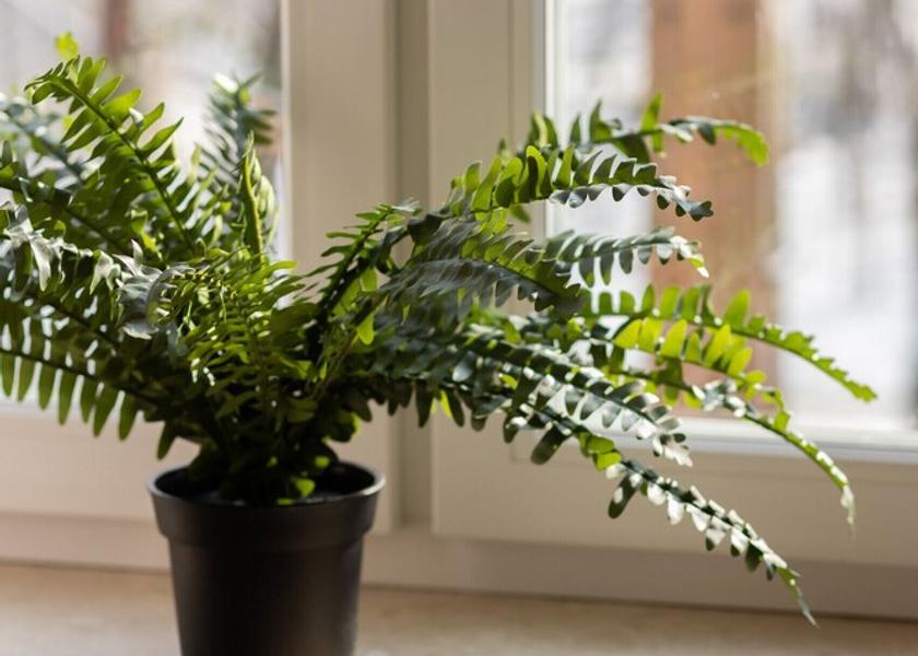 Masovian Voivodeship Pruszkow Interior Entrance