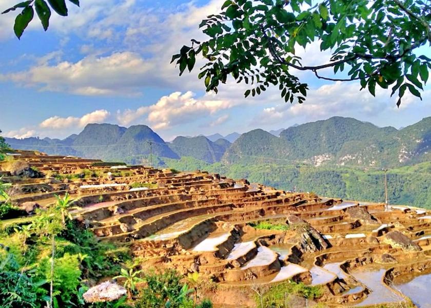 Thanh Hoa Ba Thuoc Facade