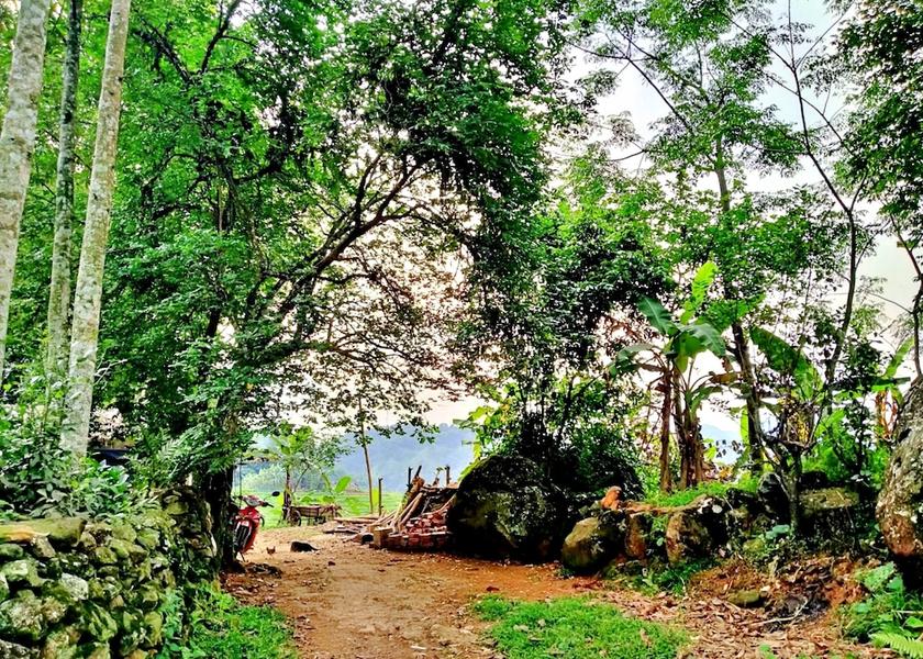 Thanh Hoa Ba Thuoc Facade