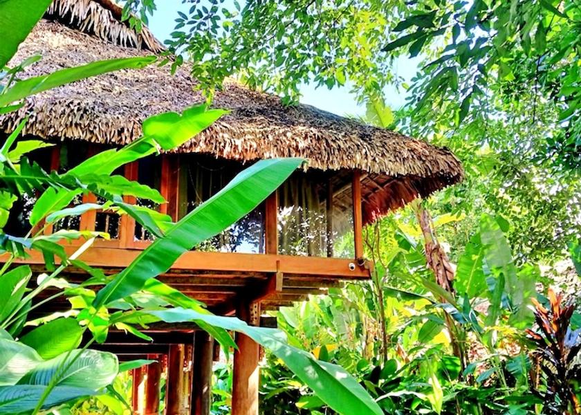 Thanh Hoa Ba Thuoc Reception