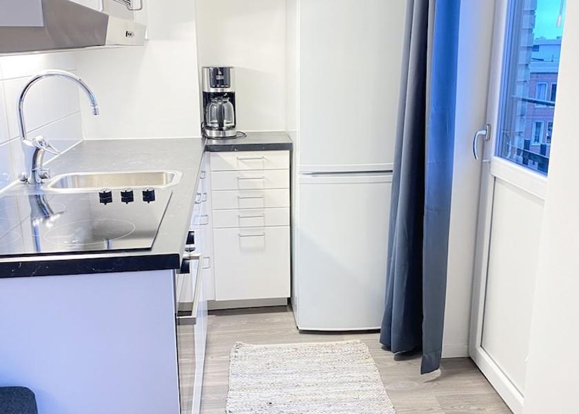 Dalarna County Borlange Kitchen