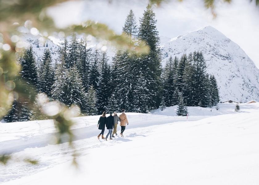 Tyrol Sankt Anton am Arlberg Land View from Property