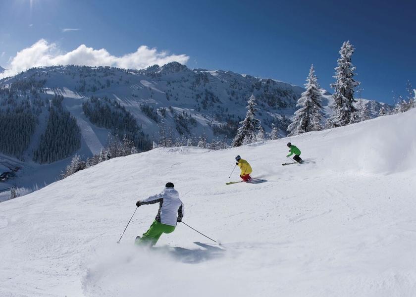 Tyrol Zell am Ziller View from Property
