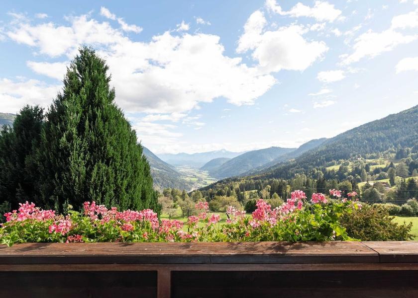 Carinthia Treffen View from Property
