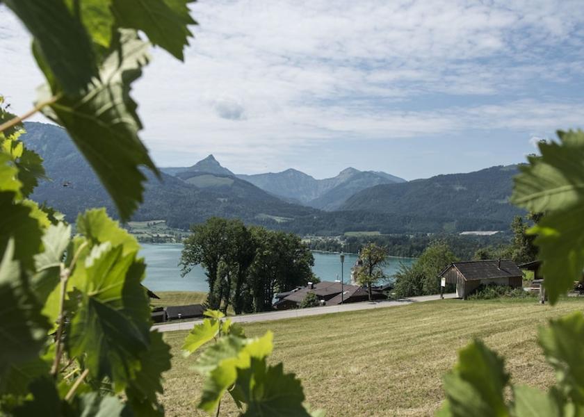 Upper Austria Sankt Wolfgang im Salzkammergut Lake View