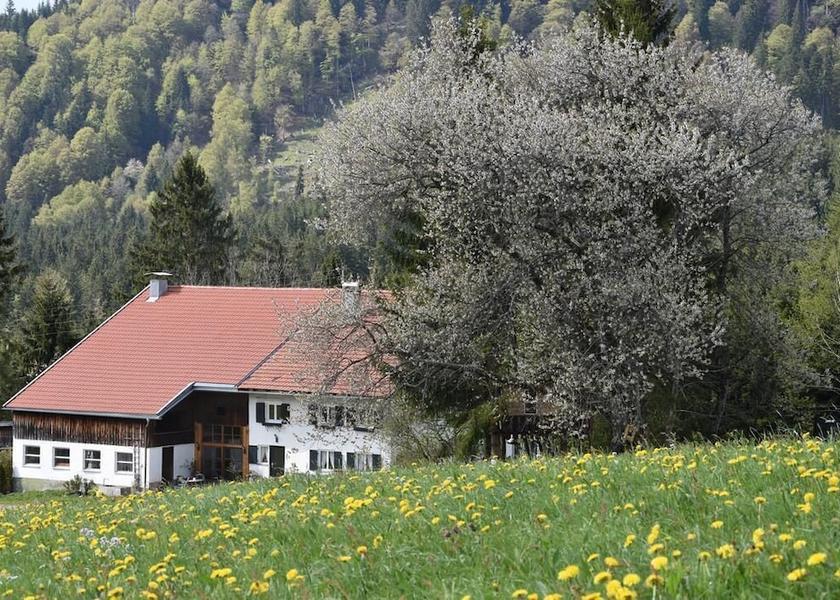 Tyrol Jungholz Exterior Detail