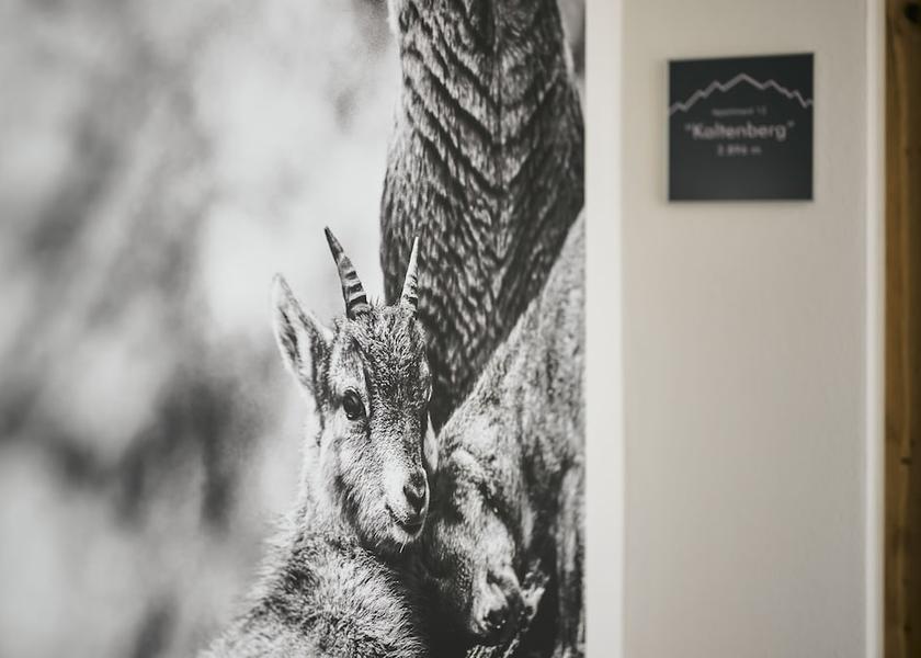 Vorarlberg Kloesterle am Arlberg Reception