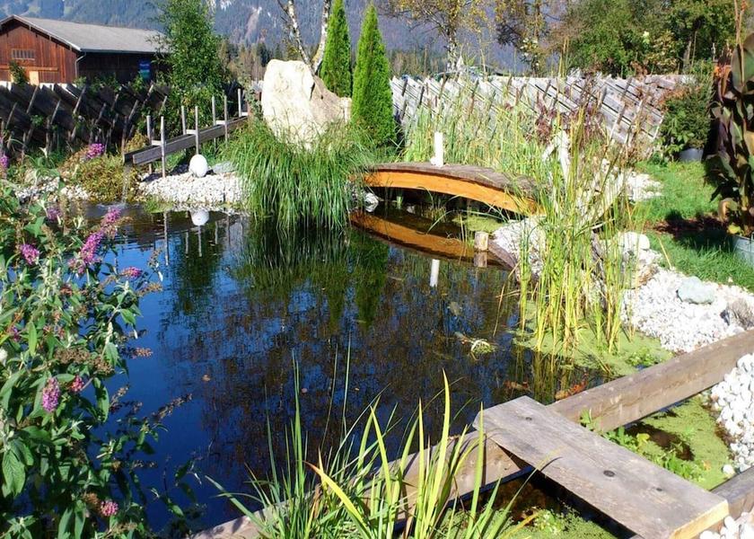 Salzburg State Saalfelden am Steinernen Meer Pool