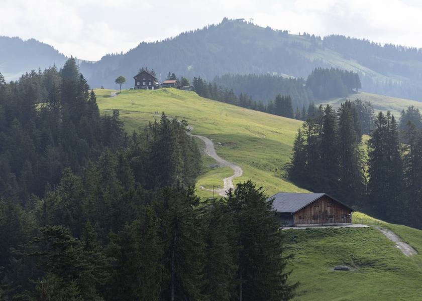 Vorarlberg Zwischenwasser Hiking
