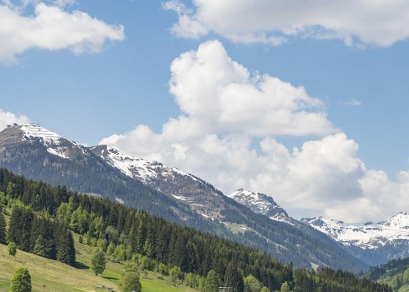 Salzburg (state) Saalbach-Hinterglemm Exterior Detail