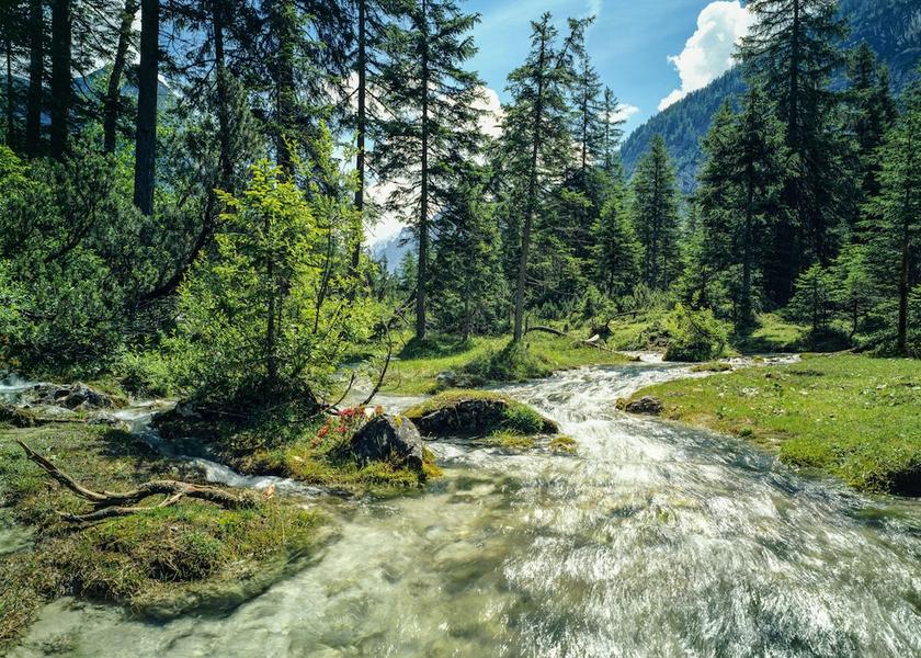 Tyrol Seefeld in Tirol Land View from Property
