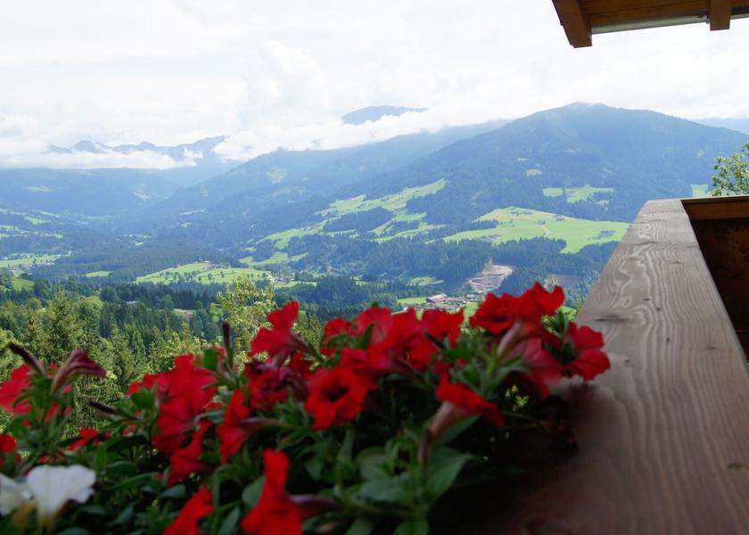 Tyrol Hopfgarten im Brixental Exterior Detail