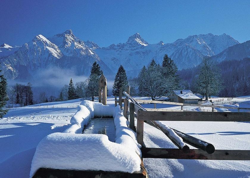 Vorarlberg Brand Exterior Detail