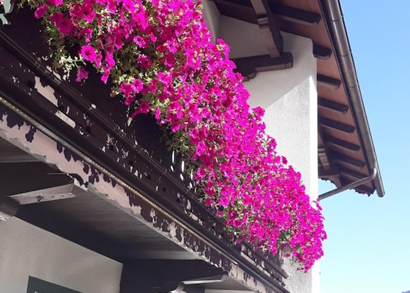 Tirol Mayrhofen Exterior Detail