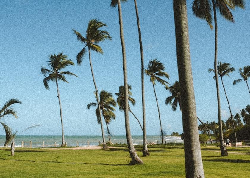 Alagoas São Miguel dos Milagres Property Grounds