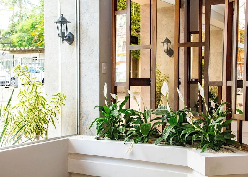 Santa Catarina Blumenau Reception