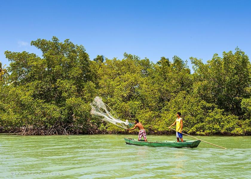 Northeast Region Tibau do Sul Point of interest