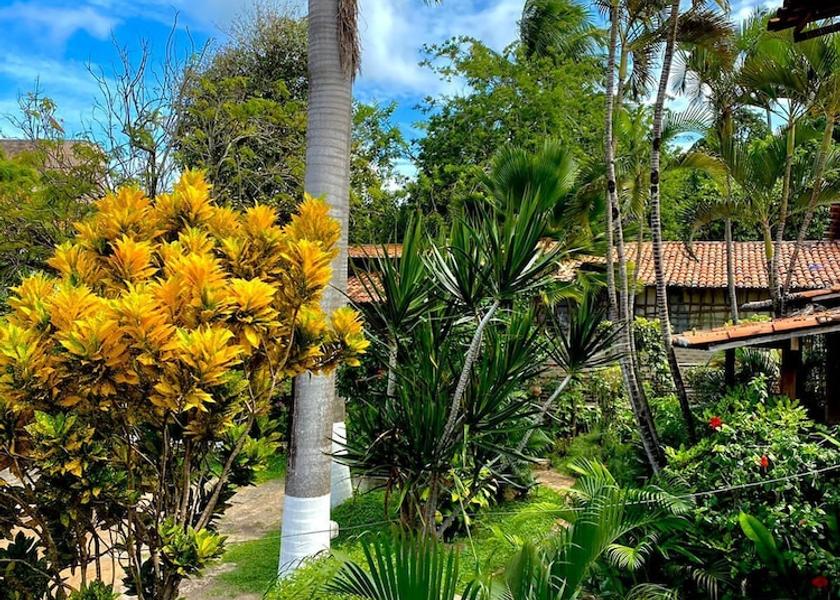 Northeast Region Tibau do Sul Terrace