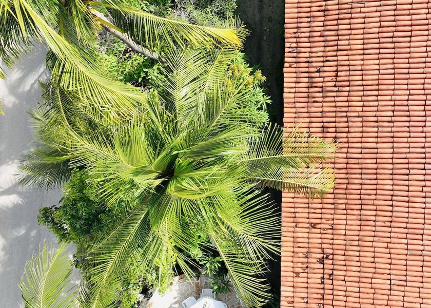 Alagoas Barra de São Miguel Terrace