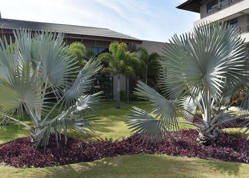 Pernambuco (state) Ipojuca Exterior Detail