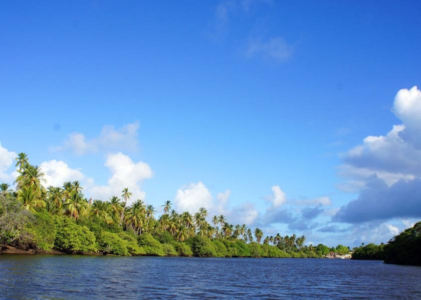Alagoas Japaratinga Exterior Detail