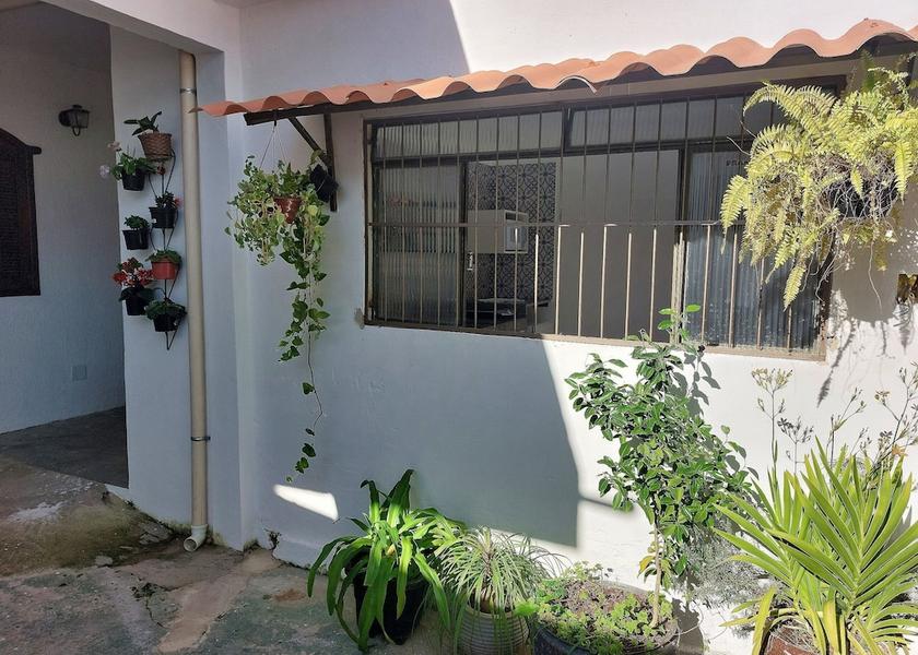 Minas Gerais (state) Belo Horizonte Exterior Detail