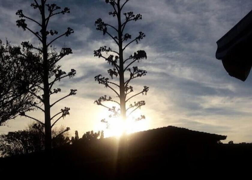 Minas Gerais Cambuquira Land View from Property