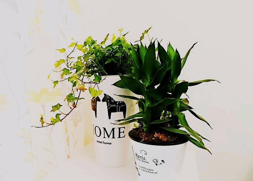 Guangdong Shenzhen In-Room Amenity