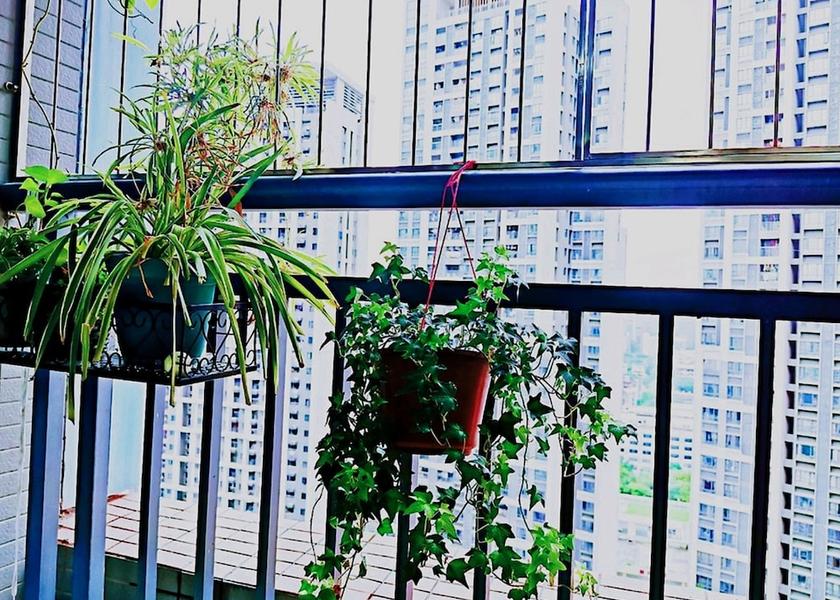 Guangdong Shenzhen View from Property