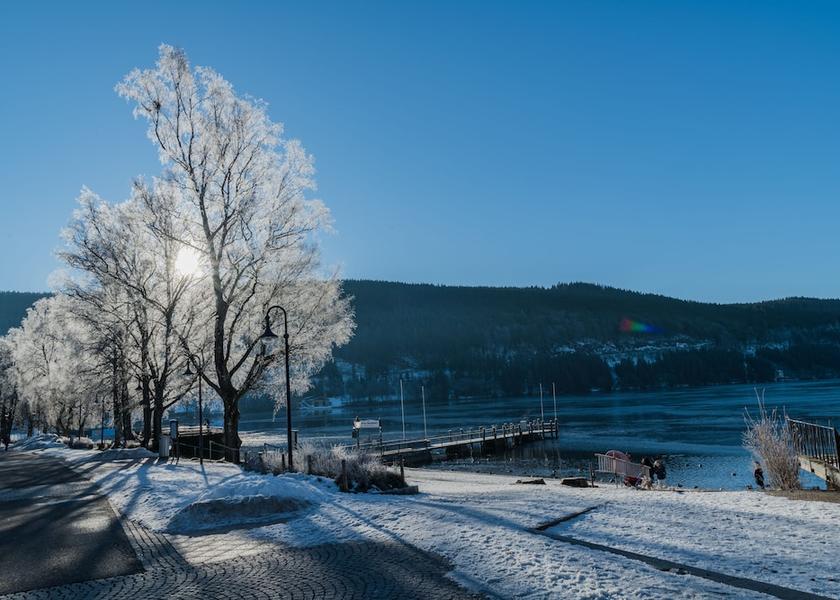 Baden-Wuerttemberg Titisee-Neustadt Lake