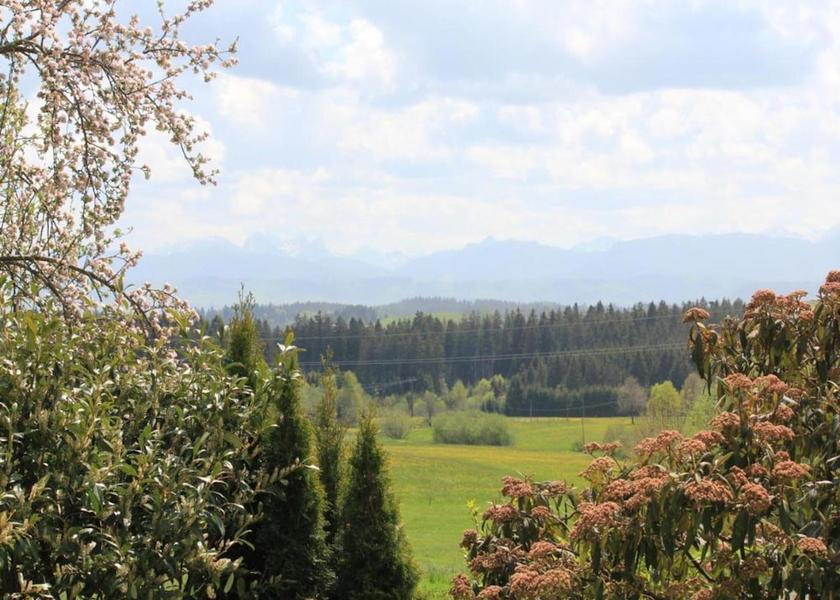 Bavaria Lam View from Property