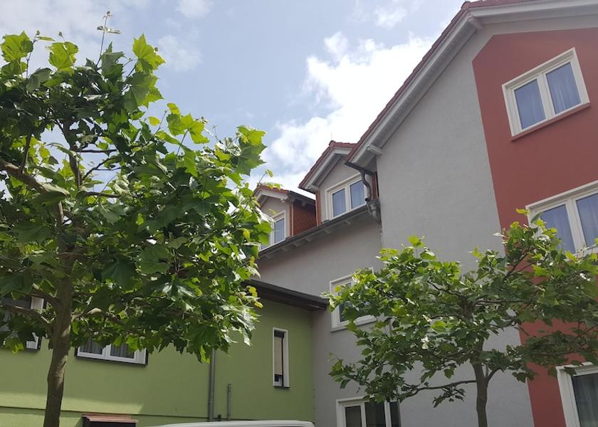 Brandenburg Region Rheinsberg Exterior Detail