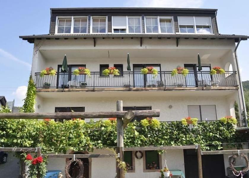 Rhineland-Palatinate Wintrich Primary image