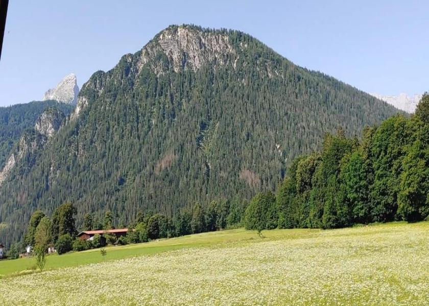 Bavaria Schoenau am Koenigssee View from Property