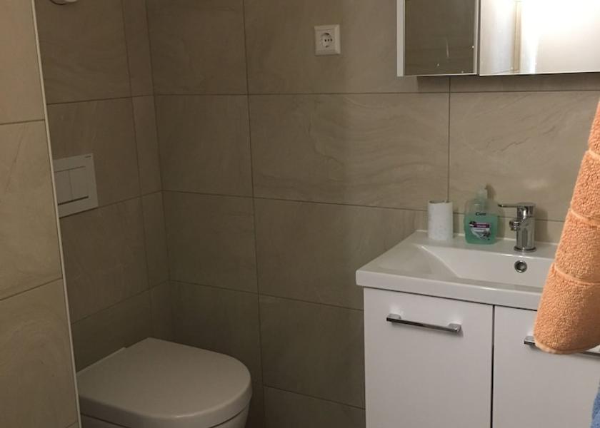 Baden-Wuerttemberg Leimen Bathroom