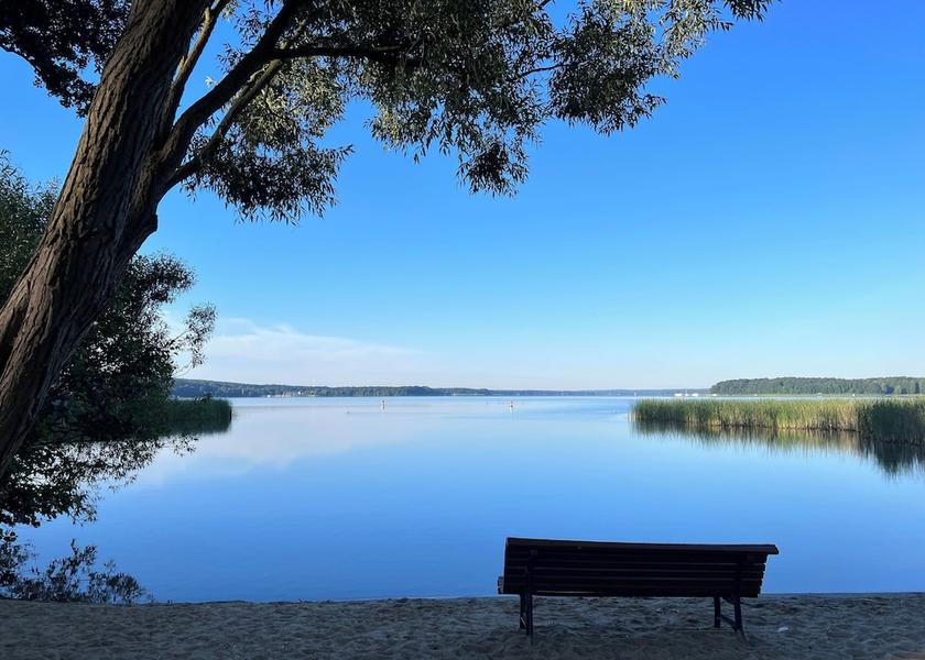 Brandenburg Region Bad Saarow Rowing