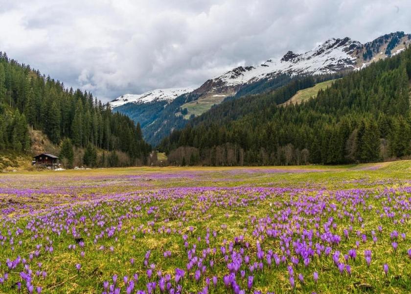 Baden-Wuerttemberg Triberg im Schwarzwald View from Property
