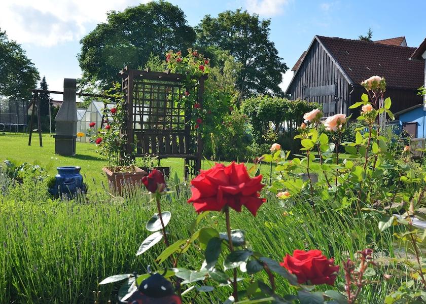 Saxony-Anhalt Blankenburg Garden