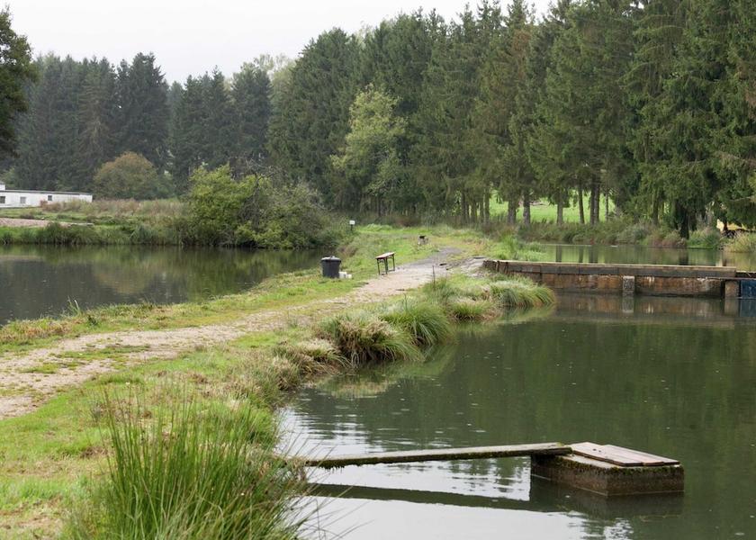 Rhineland-Palatinate Gerolstein View from Property