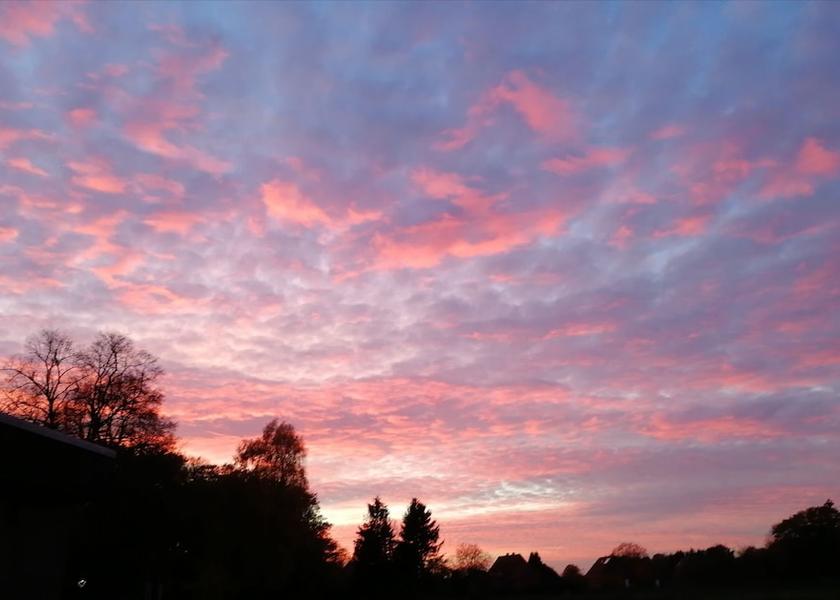Lower Saxony Walsrode View from Property