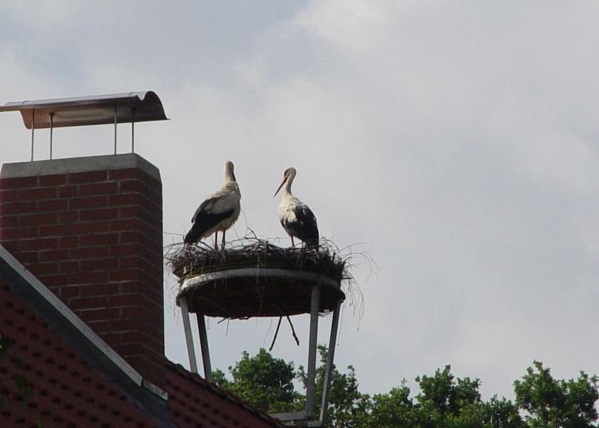 Lower Saxony Walsrode Exterior Detail