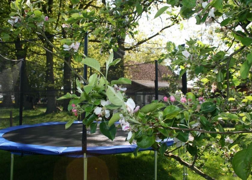 Lower Saxony Walsrode Garden