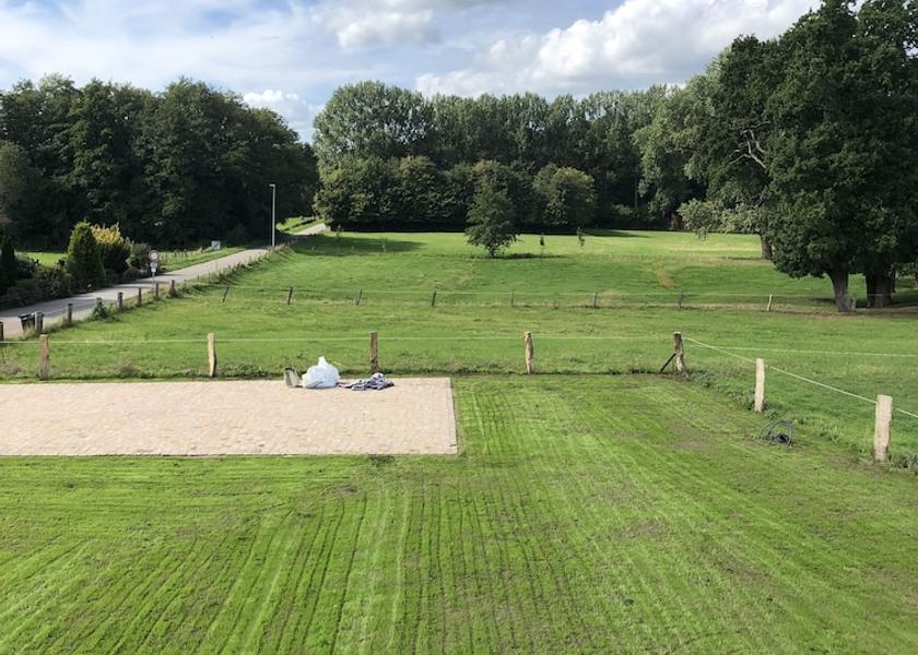 Lower Saxony Stade Garden