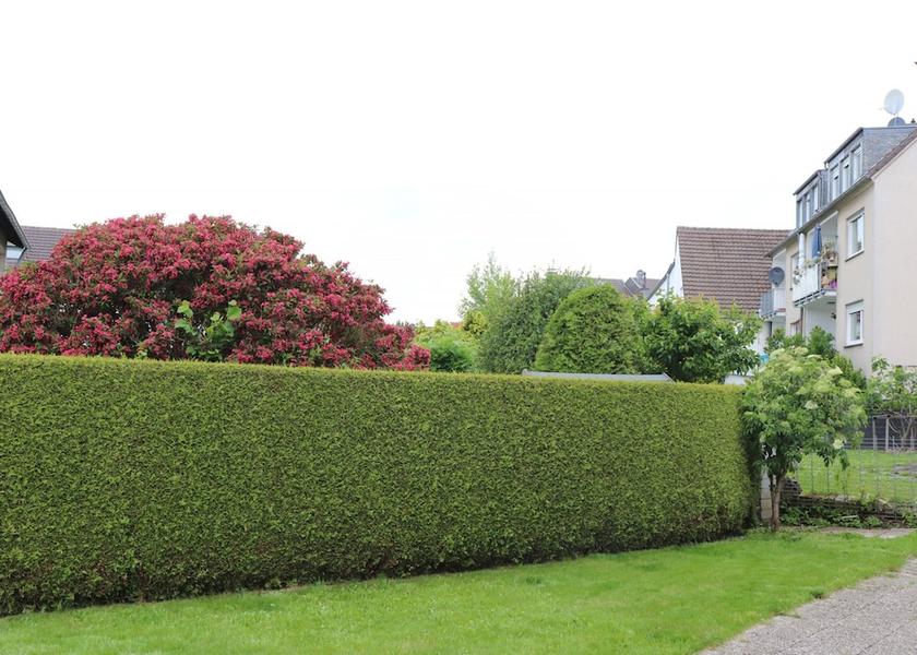 North Rhine-Westphalia Bergisch Gladbach Garden